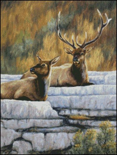 (image for) Yellowstone Royalty